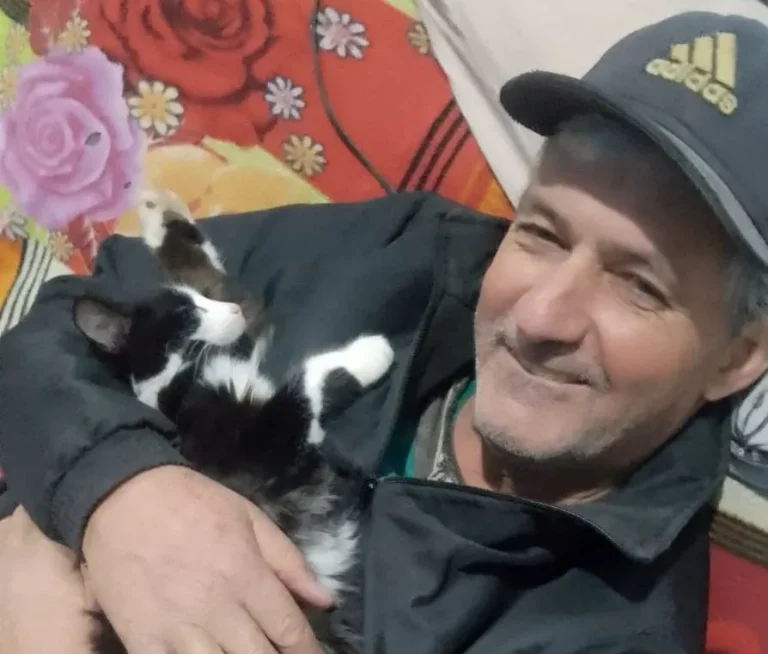 Agricultor morre após ser atingido por tronco de eucalipto no interior de Boqueirão do Leão - Studio TV