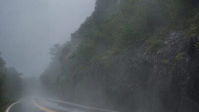CSG alerta para risco de gelo nas rodovias da Serra Gaúcha e do Vale do Caí - Studio TV