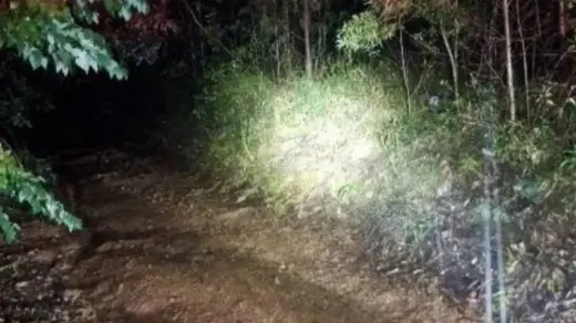 Jovem de 21 anos é encontrado morto e com as mãos decepadas em SC - Studio TV