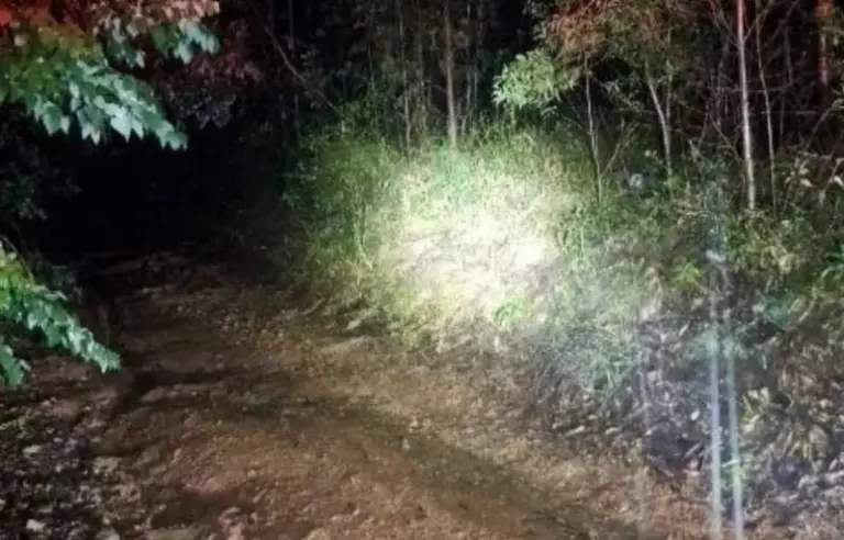Jovem de 21 anos é encontrado morto e com as mãos decepadas em SC - Studio TV