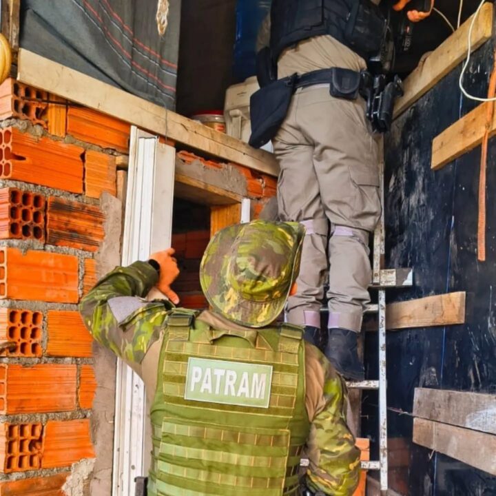 Mais de 60 galos e outras aves são encontrados em operação contra maus-tratos em Capão da Canoa - Studio TV