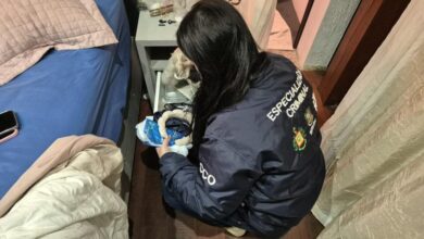 Operação Reciclagem investiga fraudes em licitações de resíduos sólidos em 15 prefeituras do RS - Studio TV
