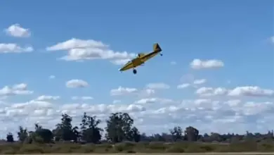 Piloto fica ferido após avião fazer pouso de emergência em Alegrete - Studio TV