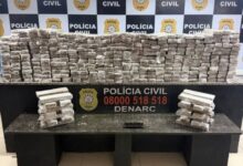 Polícia Civil apreende 203 quilos de maconha em Sapucaia do Sul - Studio TV