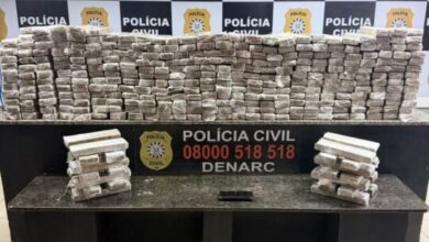 Polícia Civil apreende 203 quilos de maconha em Sapucaia do Sul - Studio TV