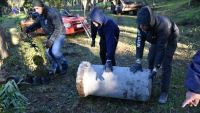 Prefeitura nos Bairros realiza melhorias e revitaliza Bosque Industrial em Veranópolis - Studio TV