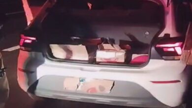 PRF apreende mais de 72 kg de maconha na BR-101; droga seria levada para Pelotas - Studio TV