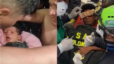 Resgates de crianças, adultos e animais após terremoto na Venezuela emocionam nas redes - Studio TV