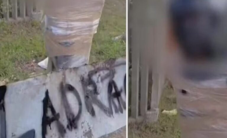 Justiça prende três suspeitos após homem ser amarrado a poste em Rio Grande - Studio TV