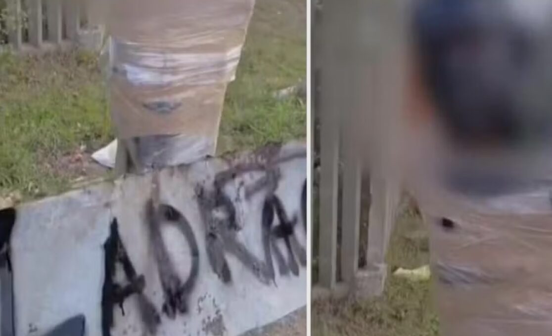 Justiça prende três suspeitos após homem ser amarrado a poste em Rio Grande - Studio TV