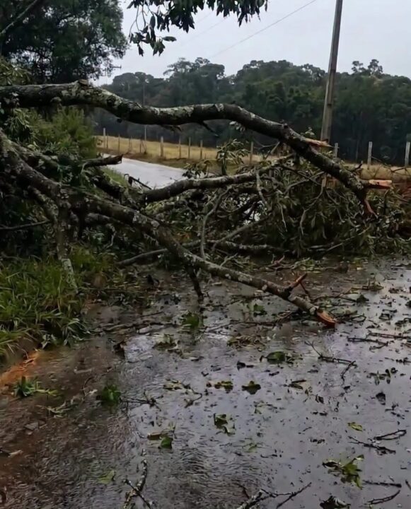 Temporal com granizo e vendaval causam estragos em cidades do Paraná; veja fotos - Studio TV