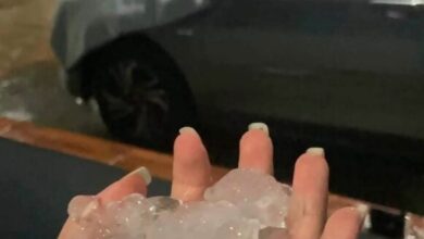 Temporal com granizo e vendaval causam estragos em cidades do Paraná; veja fotos - Studio TV