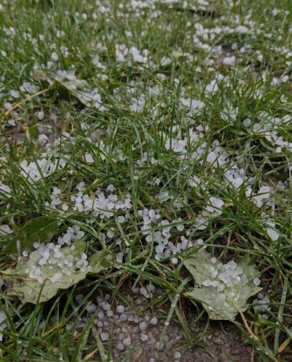 Temporal com granizo e vendaval causam estragos em cidades do Paraná; veja fotos - Studio TV