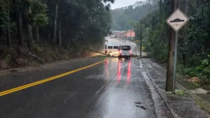 Árvore cai e bloqueia totalmente rua no bairro Santa Helena, em Bento Gonçalves - Studio TV