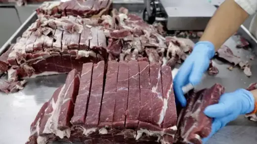 Brasil atinge cota de exportação de carne para a China e acende alerta no setor - Studio TV