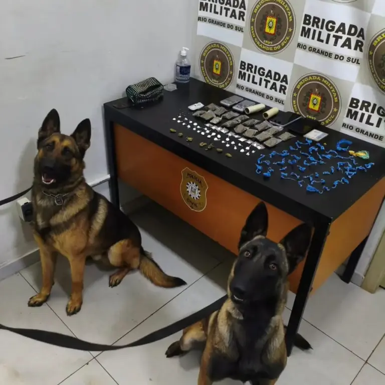 Brigada Militar prende três por tráfico e recupera motocicleta furtada em Passo Fundo - Studio TV