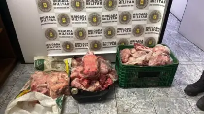 Cabeça e pelagem de vaca ajudam a identificar suspeito de abigeato na Região Central do RS - Studio TV