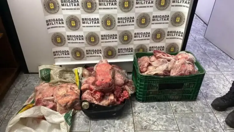 Cabeça e pelagem de vaca ajudam a identificar suspeito de abigeato na Região Central do RS - Studio TV