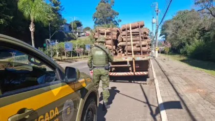 Carga de lenha nativa ilegal é apreendida em Marau - Studio TV