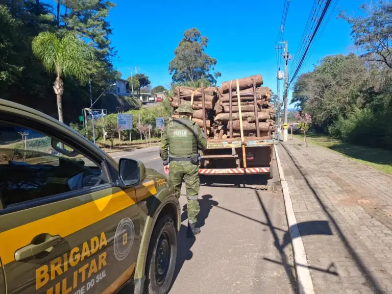Carga de lenha nativa ilegal é apreendida em Marau - Studio TV