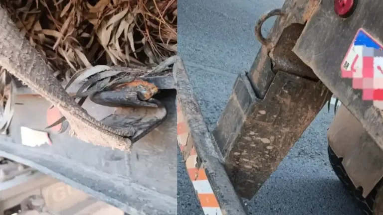 Carreta com toras é retirada de circulação por risco na ERS-122 em Farroupilha - Studio TV