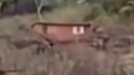 Casa levada pela correnteza do Rio das Antas é encontrada entre Santa Tereza e Muçum - Studio TV