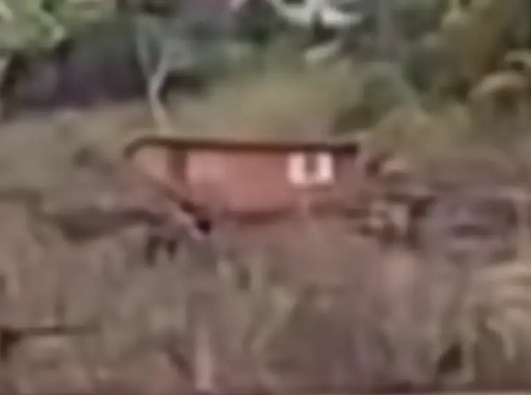 Casa levada pela correnteza do Rio das Antas é encontrada entre Santa Tereza e Muçum - Studio TV