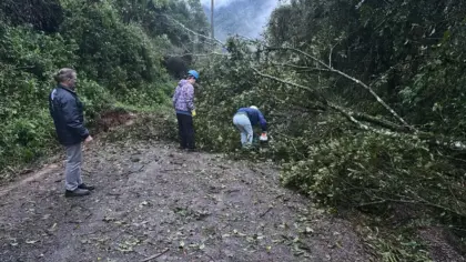 Chuvas causam bloqueios, quedas de árvores e falta de energia em Veranópolis - Studio TV