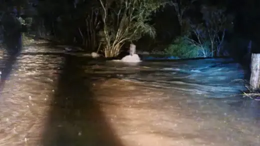 Chuvas provocam interdição de duas pontes em Nova Prata - Studio TV