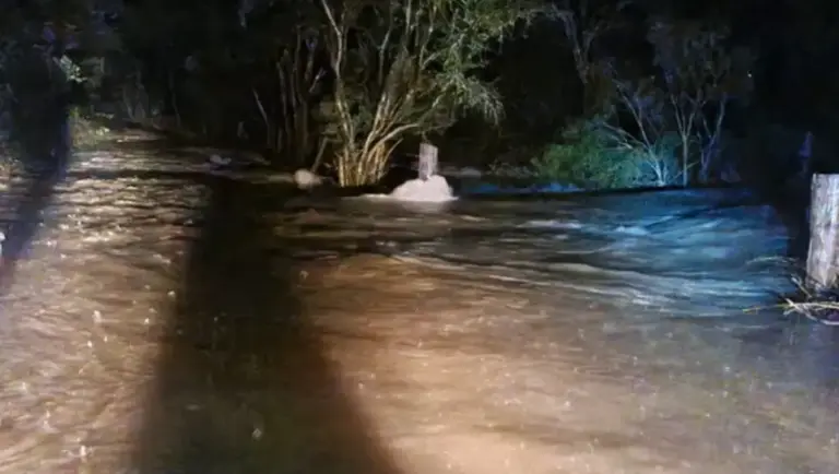 Chuvas provocam interdição de duas pontes em Nova Prata - Studio TV