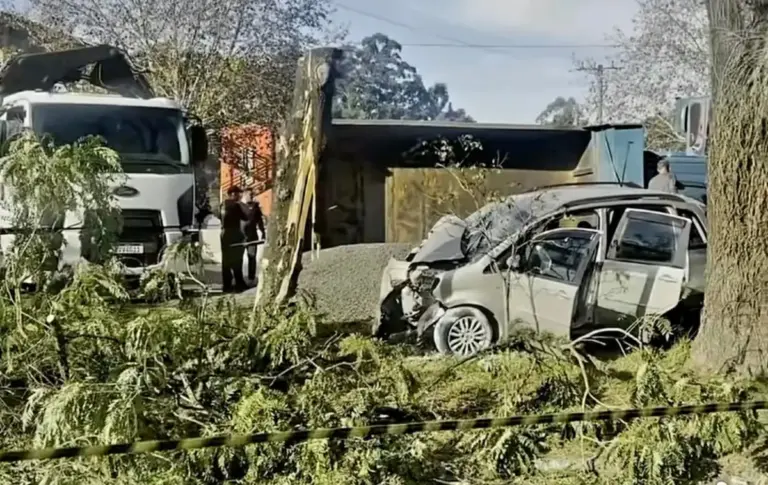 Criança de 2 anos é a segunda vítima de grave acidente na BR-116, em Novo Hamburgo - Studio TV