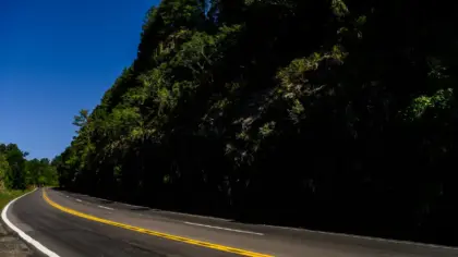 CSG lança projeto Seja Visto para prevenir atropelamentos no inverno nas rodovias do Vale do Caí e da Serra Gaúcha - Studio TV