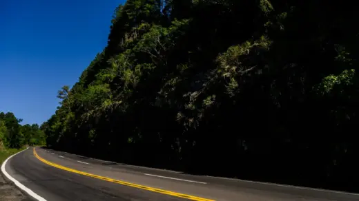 CSG lança projeto Seja Visto para prevenir atropelamentos no inverno nas rodovias do Vale do Caí e da Serra Gaúcha - Studio TV