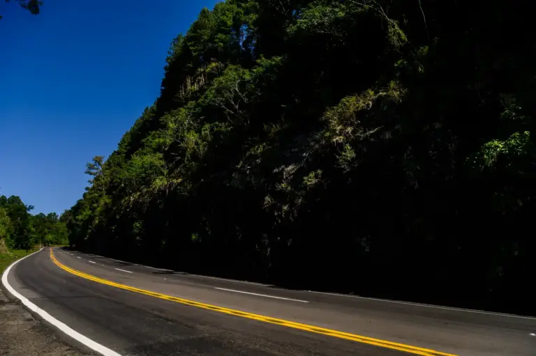 CSG lança projeto Seja Visto para prevenir atropelamentos no inverno nas rodovias do Vale do Caí e da Serra Gaúcha - Studio TV