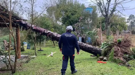 Defesa Civil reconhece situação de emergência em 17 municípios do Rio Grande do Sul - Studio TV