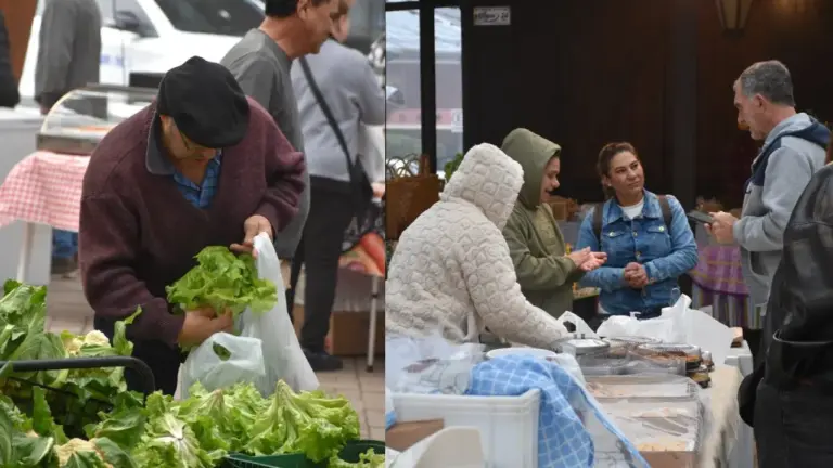 Dia do Colono é celebrado com programação especial na Feira da Agricultura Familiar de Veranópolis - Studio TV