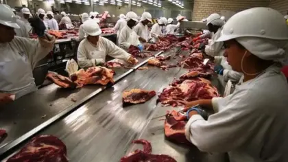 Fim de cota chinesa reduz produção em frigoríficos e provoca férias coletivas - Studio TV