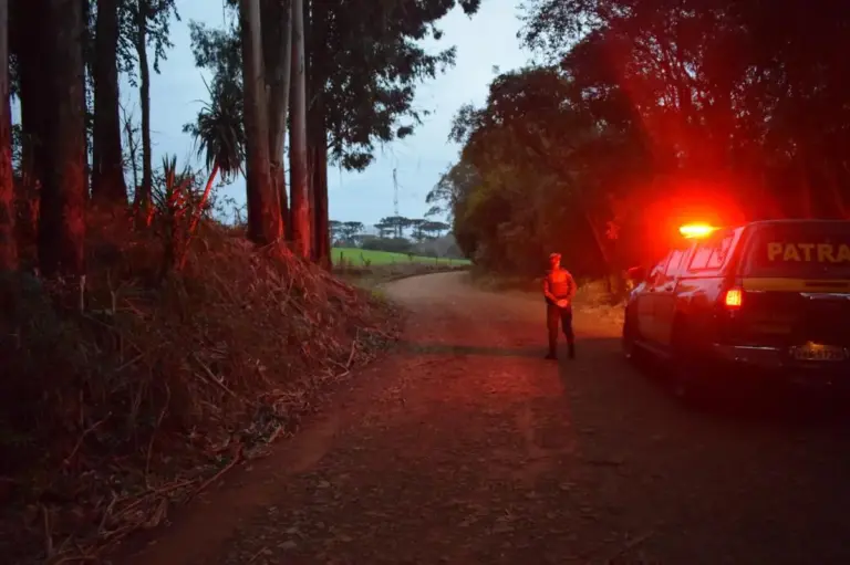 Fiscalização ambiental é reforçada em municípios do interior do Rio Grande do Sul - Studio TV