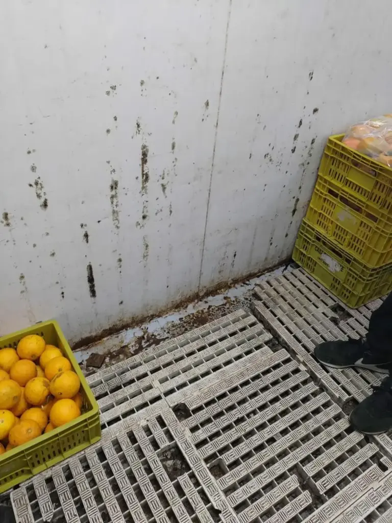Força-tarefa apreende cerca de uma tonelada de produtos impróprios em supermercados de Marcelino Ramos - Studio TV
