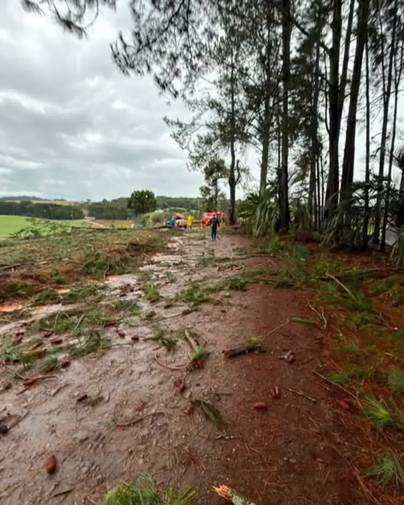 Fortes ventos causam estragos no interior de São José do Ouro - Studio TV