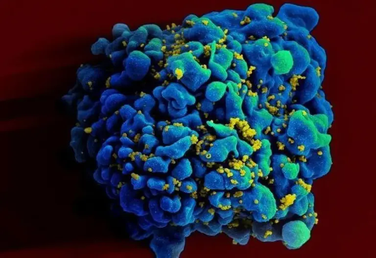 HIV: dois casos de cura do vírus são anunciados - Studio TV