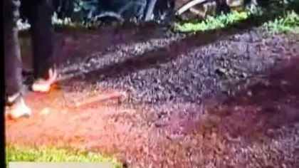 Homem de 44 anos morre em acidente na ERS-530, em São Pedro do Sul - Studio TV