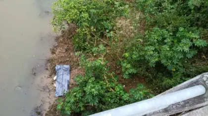 Homem é encontrado morto às margens da BR-470 em SC - Studio TV