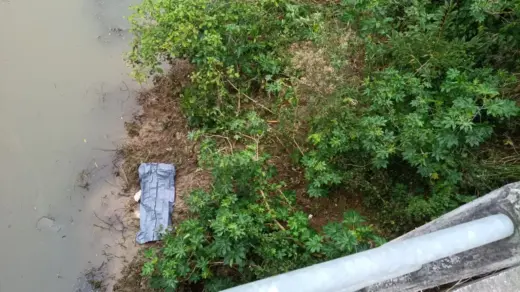 Homem é encontrado morto às margens da BR-470 em SC - Studio TV