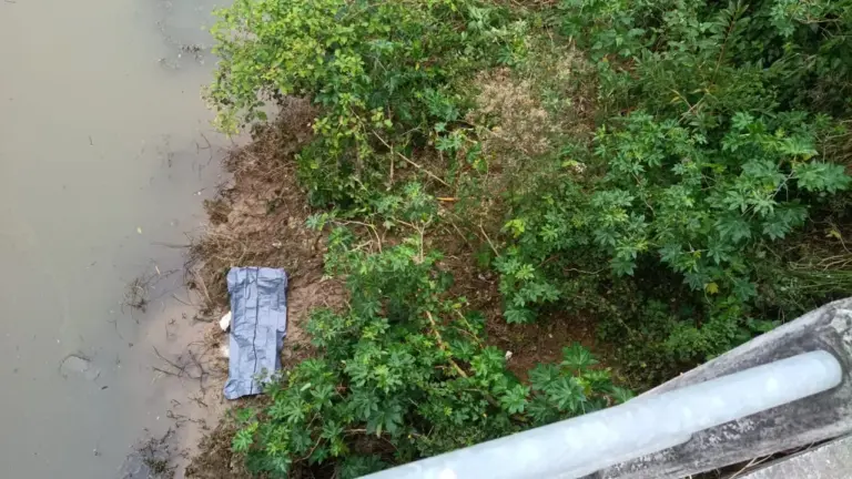 Homem é encontrado morto às margens da BR-470 em SC - Studio TV