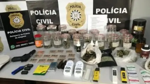 Homem é preso após Polícia Civil descobrir cultivo de maconha dentro de residência em Alegrete - Studio TV
