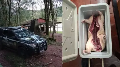 Homem é preso e armas são apreendidas por caça ilegal em União da Serra - Studio TV