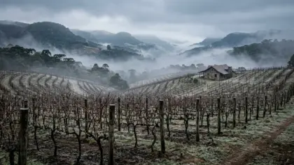 Horas de frio chegam a 198 no acumulado até junho em Veranópolis - Studio TV
