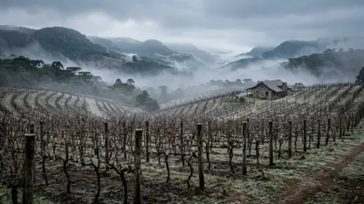 Horas de frio chegam a 198 no acumulado até junho em Veranópolis - Studio TV