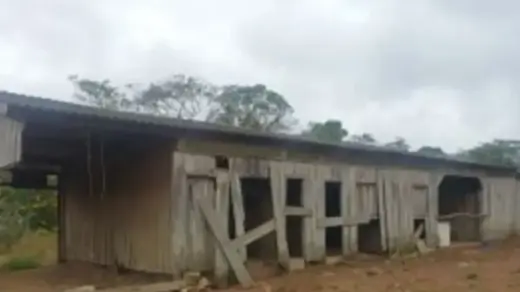 Idoso é resgatado de trabalho análogo à escravidão em abrigo compartilhado com porcos - Studio TV